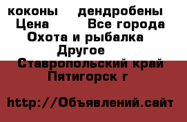 коконы    дендробены › Цена ­ 25 - Все города Охота и рыбалка » Другое   . Ставропольский край,Пятигорск г.